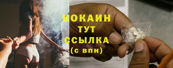 спиды Заводоуковск