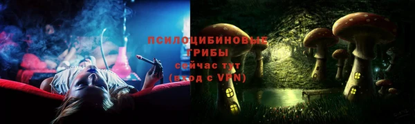 спиды Заводоуковск