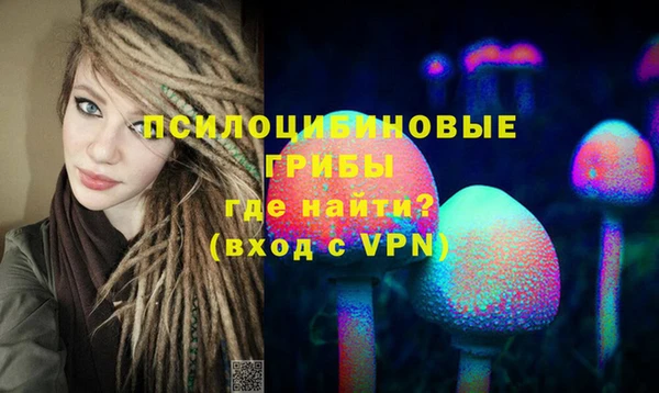 спиды Заводоуковск