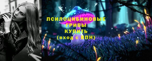 крисы Заволжск