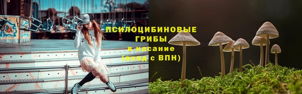 спиды Заводоуковск