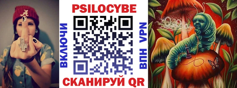 Галлюциногенные грибы Psilocybe кракен ссылки Суоярви