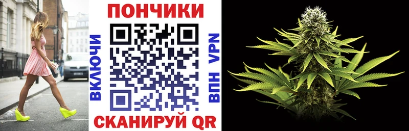 где можно купить   Суоярви  Бошки марихуана THC 21% 
